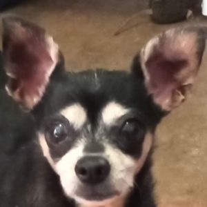 Meet your Posher, Raquel